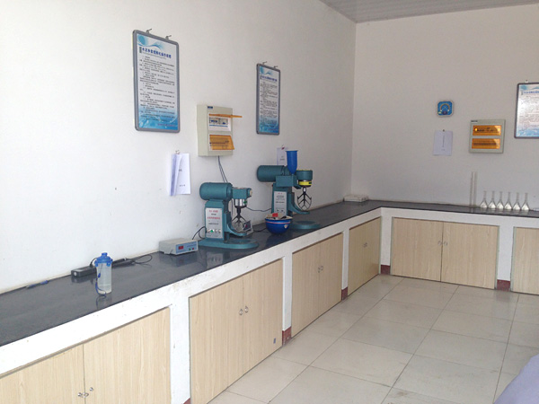 ��˾�����һ��