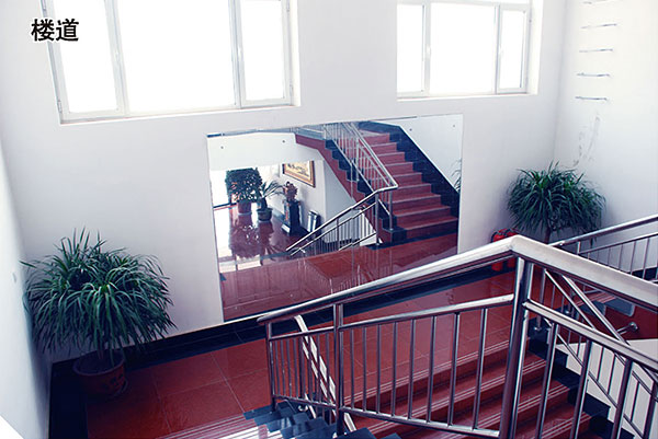 ��˾�k���ǘǵ�